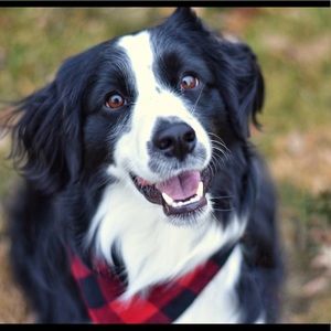 Meet your Posher, Alexalex